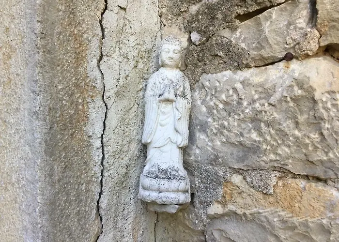 Ombre & Fraicheur * Cazals (Lot)