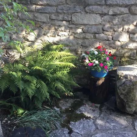 Appartement Ombre&fraîcheur Cazals (Lot)